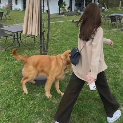 沉默之墙